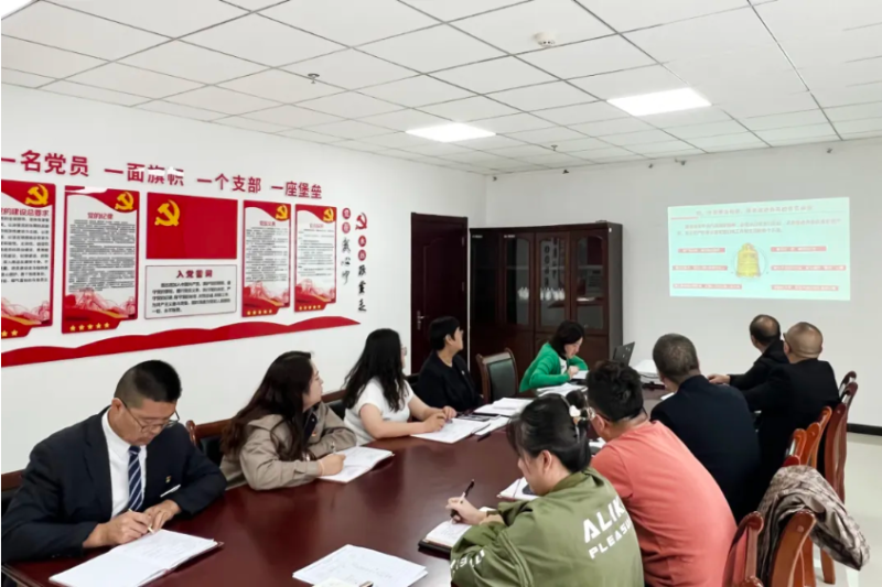 臨空公司黨支部開展“黨課明志強根基 誓言錚錚擔(dān)使命”迎七一主題黨日活動