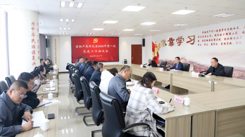 集團(tuán)黨委召開2025年一季度黨建工作推進(jìn)會(huì)